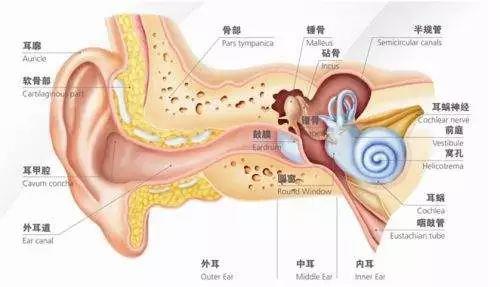 长期戴耳机竟能导致耳聋！你还不注意？